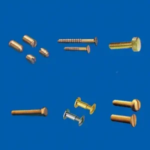 Brass Screws
