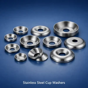 Stainless Steel Cup Washers